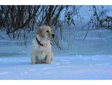 ���� ���� �� ��