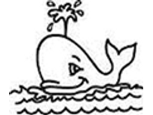 Image863.png