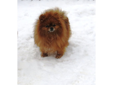 �������! 001.JPG