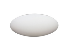 43007-100 11450�.jpg