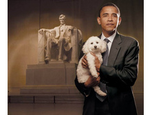 U 4f91b9ba26cd575795f30e7b9c5618a5 800.jpg