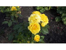 180 — �����.jpg