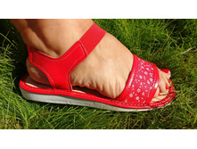 ��������� ������ �� ����������� ����. ������� 131. ������� 36-41 400 �.