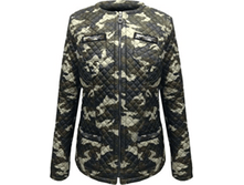 4017003_4100 ���