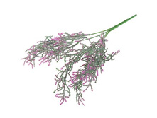 ����� "������"����� "������" �����; 30 ��; �������; � ����� 800 ��. ���.: 1653784 55.00���.