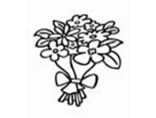 Image621.png