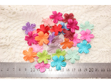 ����� ������ ��������� 22��- 29�� - 60���