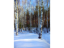 IMG 20170226 101648.jpg