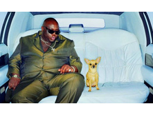 875a8375f91de049494d6073098e8a2f a62413a42a98131f27724e7c5d54ad34.jpg