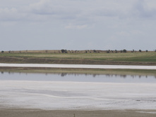 �.�������