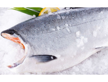 ����� �/� PREMIUM ����