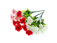 ����� "�������� ������" ��������� "�������� ������" ���� �����; 30 ��; �������, ��������; � ����� 600 ��. ���.: 1653812 66.33���.