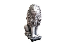 ��� ����� �� ����� ������� ������ �-50��.jpeg