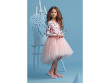 ������ 4070-5   1529 ���.