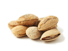 ������� ����������� �����. �������