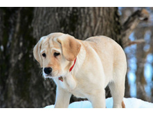 ���� ���� �� ��