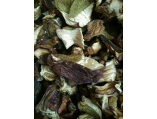 ����� ����� 3�/1200 ���