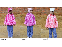 ������ ������ - 2160 ���