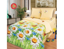 ���� ��� ������