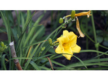 �������� ������ �� ���