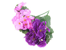 ����� "���������" ��������� "���������" ���� �����; 18 ��; �������, ��������; � ����� 600 ��. ���.: 296355 42.90 ���.