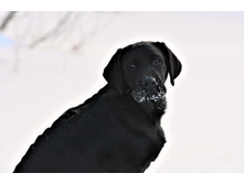 ���� ��� �� ��