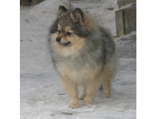 �������! 021.JPG