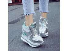 WN800-0.jpg
