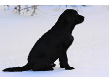 ���� ��� �� ��