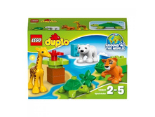 216050 ���� 559,9 ���..jpg