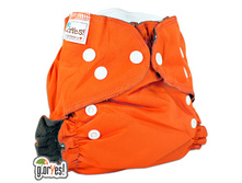 �������� �������� NEW.jpg