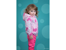 ������ 4078-2