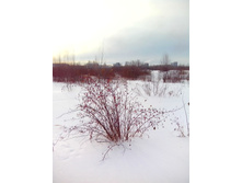 IMG 20170204 112356.jpg