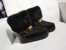 WN805-1.jpg