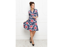 ������ 1650 ������