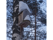 ����������