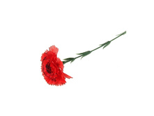 ������ ������������� "�������� � ������"������ ������������� "�������� � ������" �����; 50 ��; �������, ��������; � ����� 1440 ��. ���.: 183277 14.30 ���.