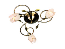 37907-03 1700�.JPG