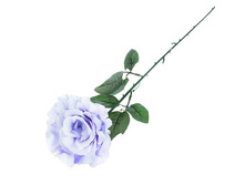 ������ ������������� "����" ��������� ����, ��������������� ������������� "����" ��������� ����, ��������� �����; 10 �� × 53 ��; �������, ��������; � ����� 600 ��. ���.: 1659287 39.05���.