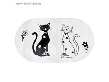 ������ ��� ����� "�������" 242��� �� 1��