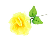 ������ ������������� "���� ֣����"������ ������������� "���� ֣����" �����; 40 ��; �������, ��������; � ����� 1000 ��. ���.: 183193 16.00 ���.