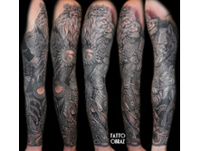 ���� �� ����.���������� �� ����.���������