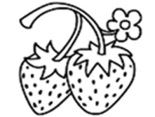 Image743.png