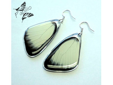 ��� ��, ������ �������