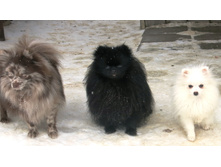 �������� 013.JPG