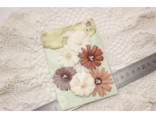 ����� ����� prima marketing 100�