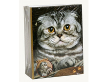 175,5���. ��� ��-00002432 V ���������� 200 47007 ������ ����.jpg