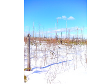 IMG 20170226 114429.jpg