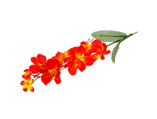 ����� ������������� "�����-������� ������� ���������"����� ������������� "�����-������� ������� ���������" �����; 65 ��; �������, ��������; � ����� 600 ��. ���.: 701711 39.00���.