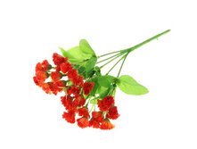 ����� "��������� ��������" ��������� "��������� ��������" ���� �����; 24 ��; �������, ��������; � ����� 800 ��. ���.: 1208845 46.50 ���.